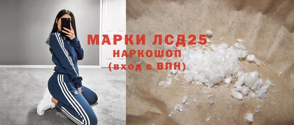 прущие грибы Армянск
