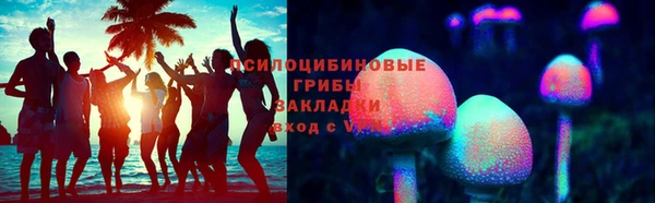 прущие грибы Армянск