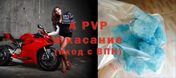 прущие грибы Армянск