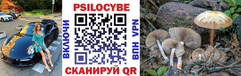 блэк спрут ссылка  Первомайск  Псилоцибиновые грибы Psilocybine cubensis 